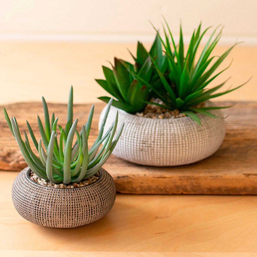 Home Accents Touch of Class | Faux Succulents In Pots Set